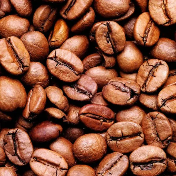 Pure coffee ingredients