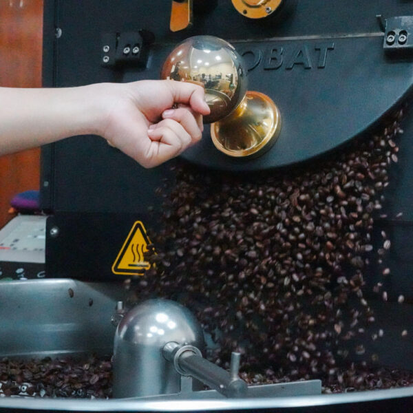 Freshly roasted coffee